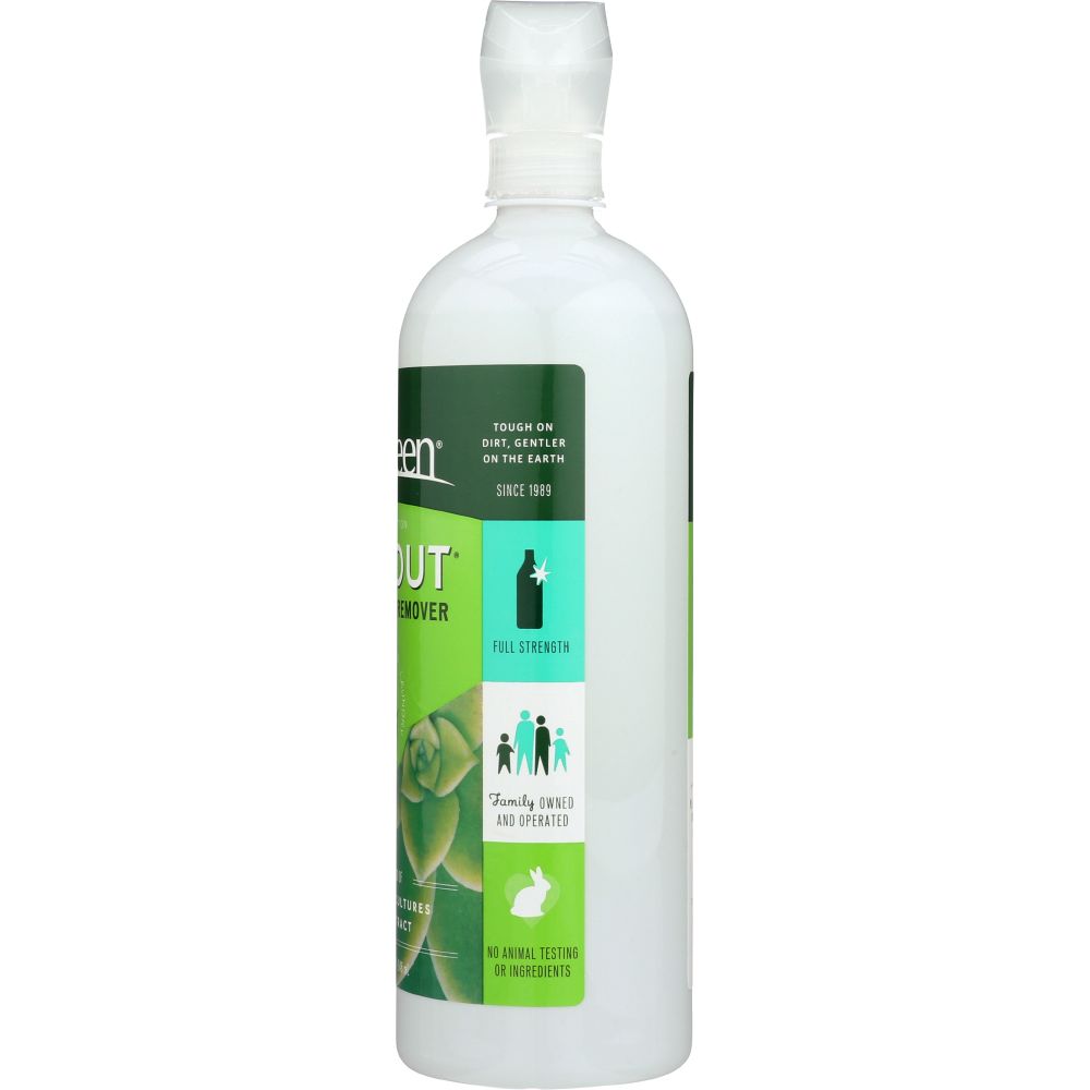 BIO KLEEN: Bac Out Stain And Odor Remover Foam Spray, 32 oz