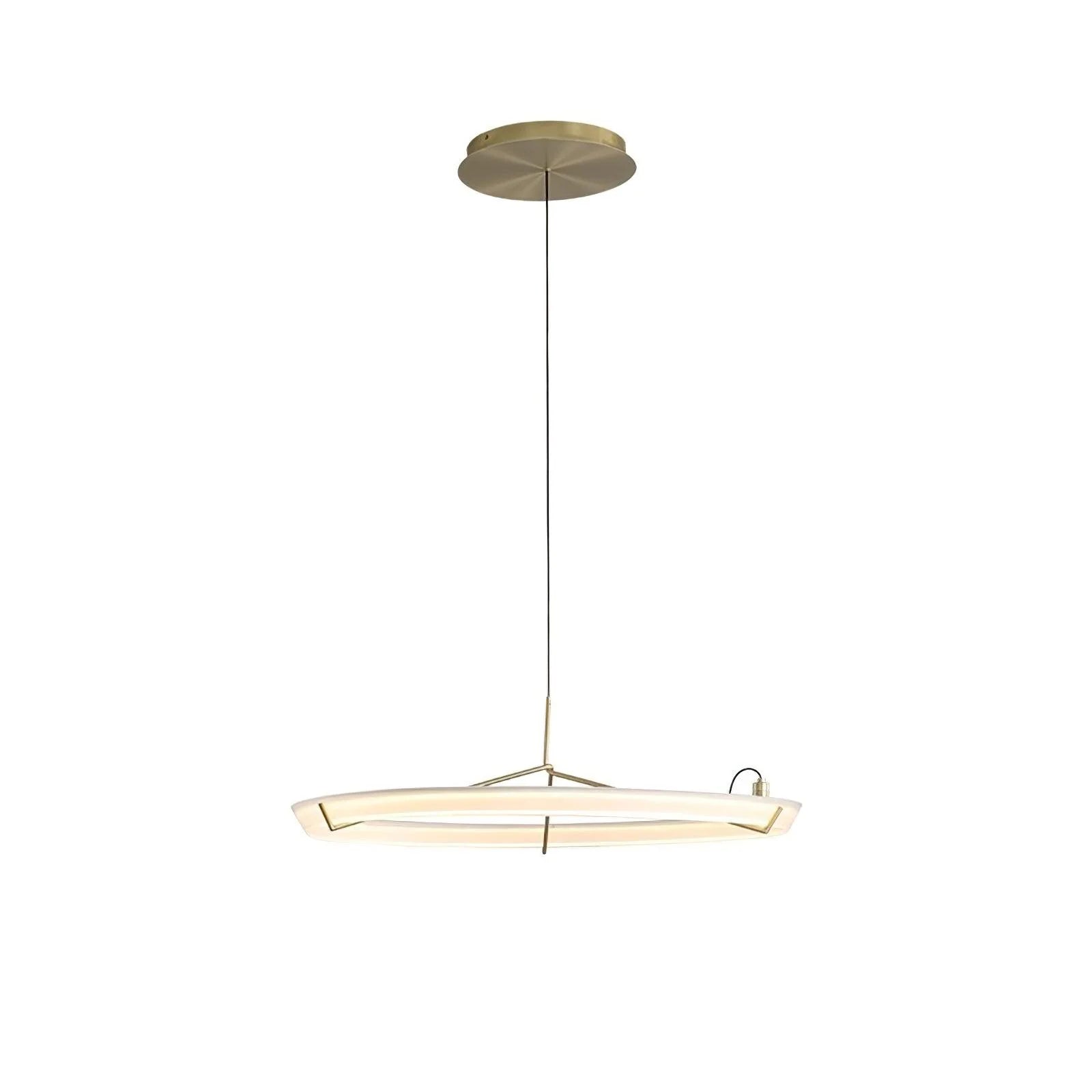 Round Vielle Acrylic Pendant Lamp