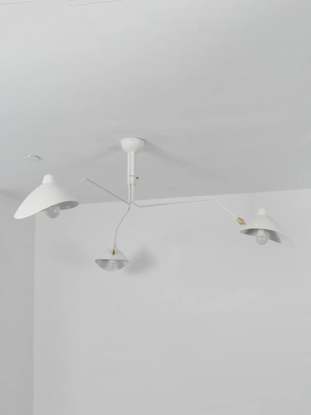 Serge Rotating Arm Ceiling light