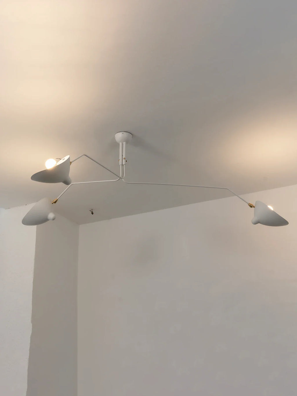 Serge Rotating Arm Ceiling light