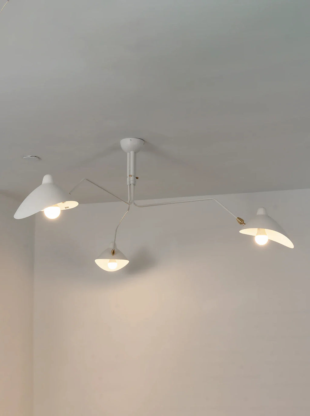 Serge Rotating Arm Ceiling light